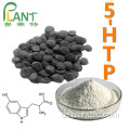 Griffonia simplicifolia-Samenextrakt 98% 5-HTP-Pulver